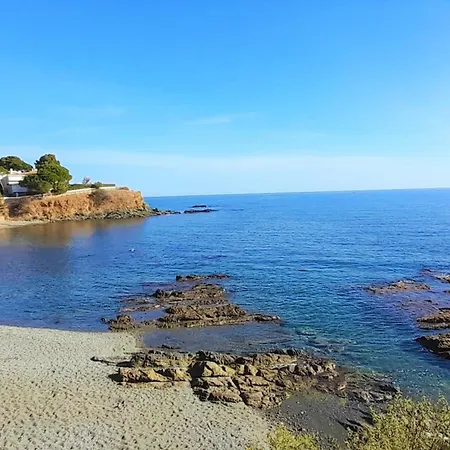 En Llanca: 2 Habitaciones, Terraza, Frente A La Playa Del Port, ¡mascotas Bienvenidas! - Es-170-78 Apartment Llanca
